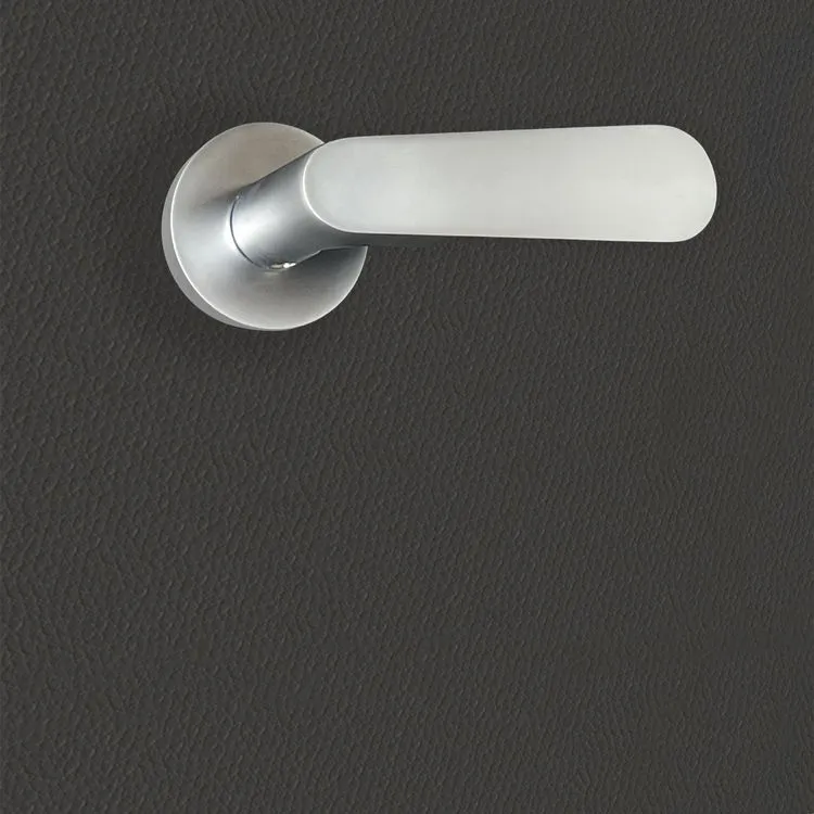 Poignée de porte Regina